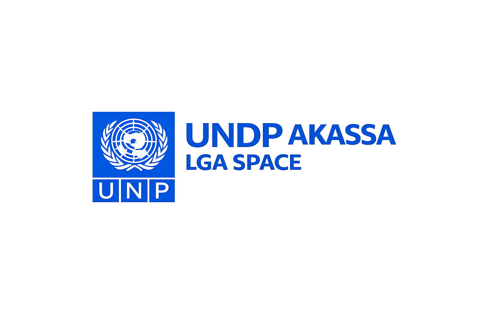 UNDP Akassa LGA Space